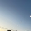 吉林网友58435