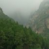 上海网友91910