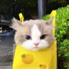 云南网友70214