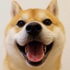 评论头像