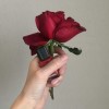 广东网友80708