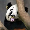 澳门网友78577