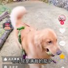 QQ头像