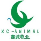 QQ头像