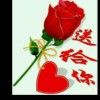 甘肃网友87391