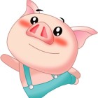 QQ头像