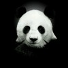 西藏网友74506
