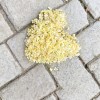 云南网友76042