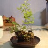 青海网友65603