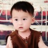 网友昵称：zblog日收程序