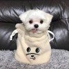 北京网友54814