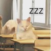 北京网友79369