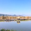 浙江网友44494