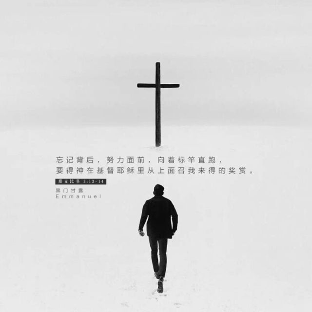 QQ Email Avatar