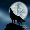 河北网友29743