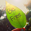 aaaa
