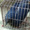 湖北网友43901