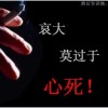 小夜曲