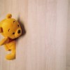 广东网友93163