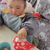 河南网友99723