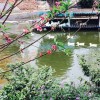 四川网友41077