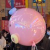 h宝快人中容