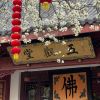 吉林网友60476