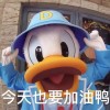 Lin