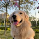QQ头像