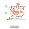 宁夏网友13113