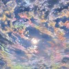 内蒙古网友12223
